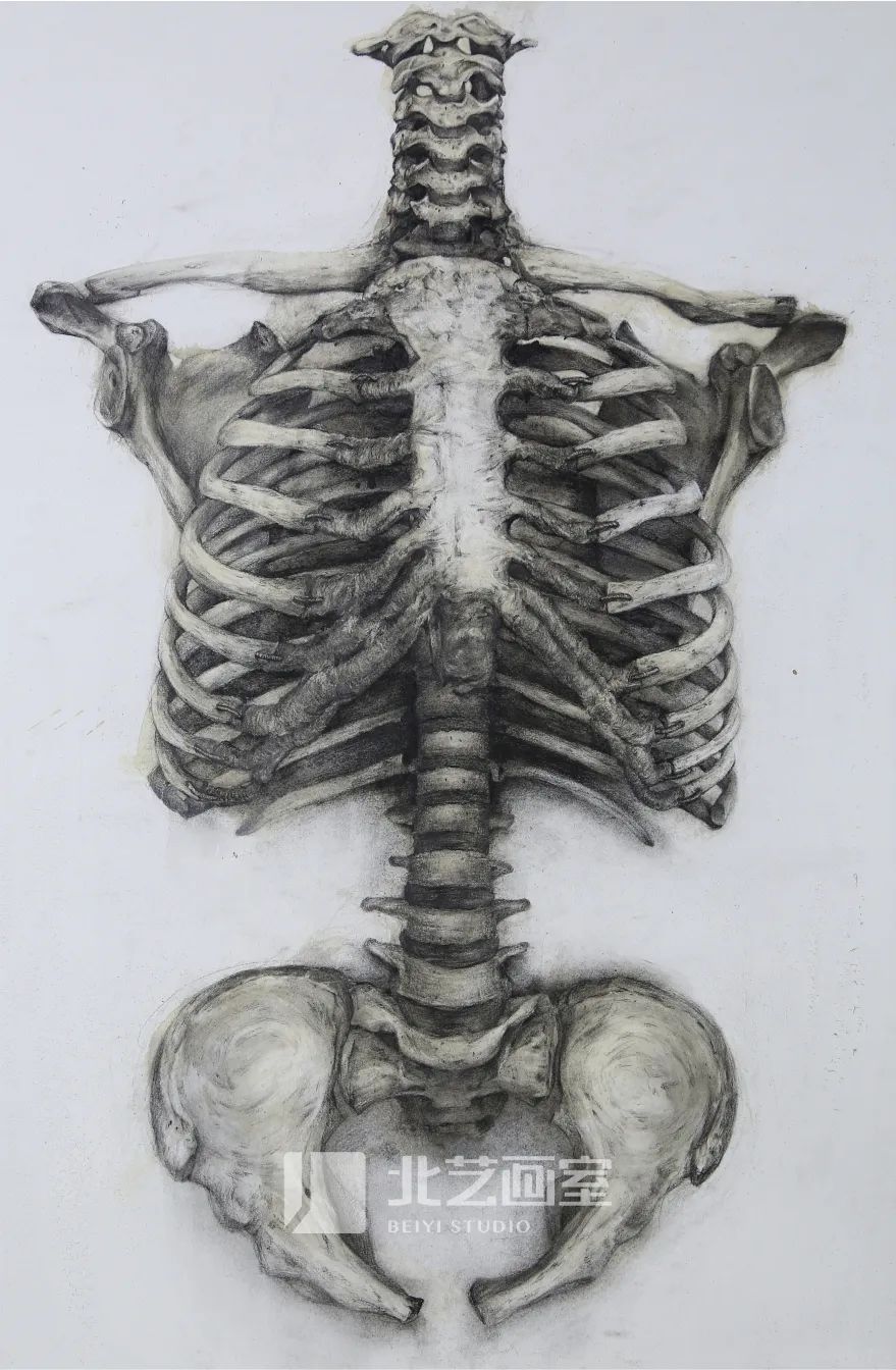 k8凯发(中国)天生赢家·一触即发最新素描作品