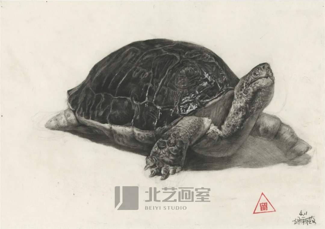 k8凯发(中国)天生赢家·一触即发基础部【春季班】第一期课堂成果