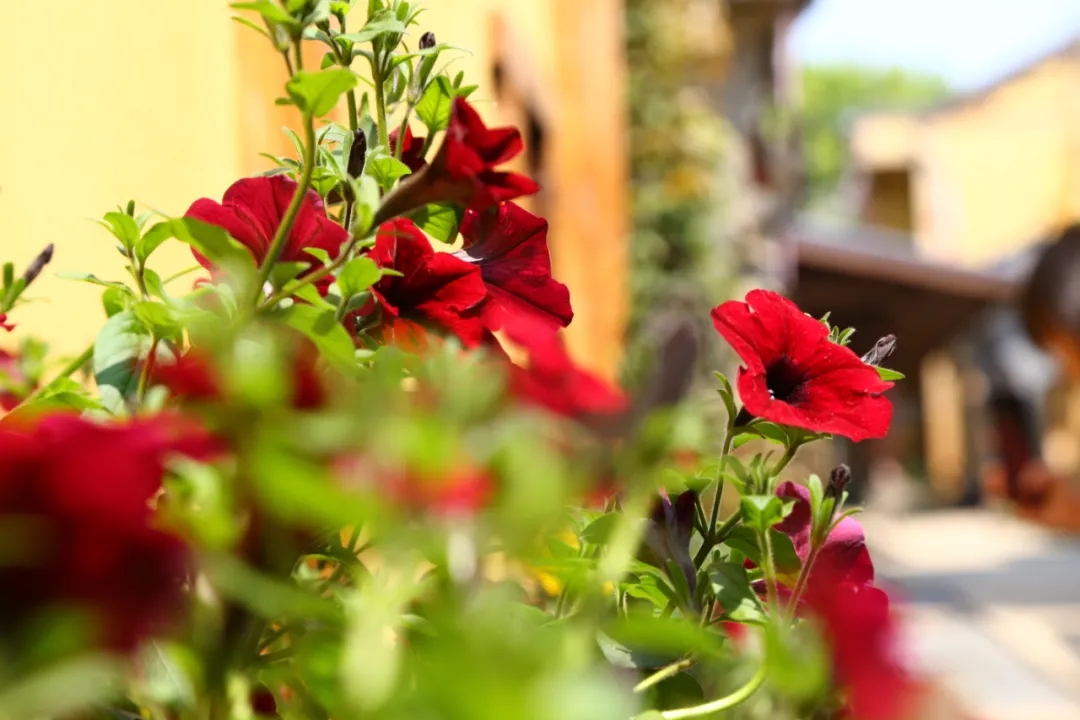 k8凯发(中国)天生赢家·一触即发2021教师团建