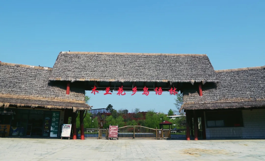 k8凯发(中国)天生赢家·一触即发2021教师团建