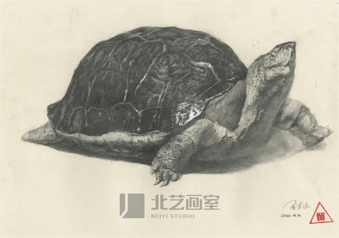 k8凯发(中国)天生赢家·一触即发基础部【春季班】第一期课堂成果