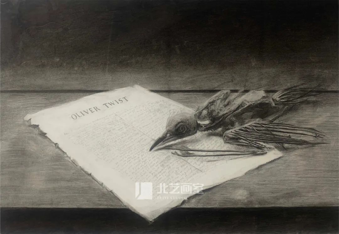 k8凯发(中国)天生赢家·一触即发2023届学员新素描作品