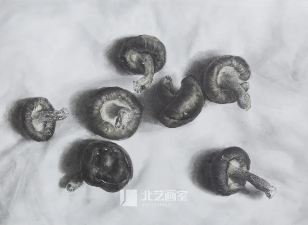 k8凯发(中国)天生赢家·一触即发2023届学员新素描静物写生优秀作品