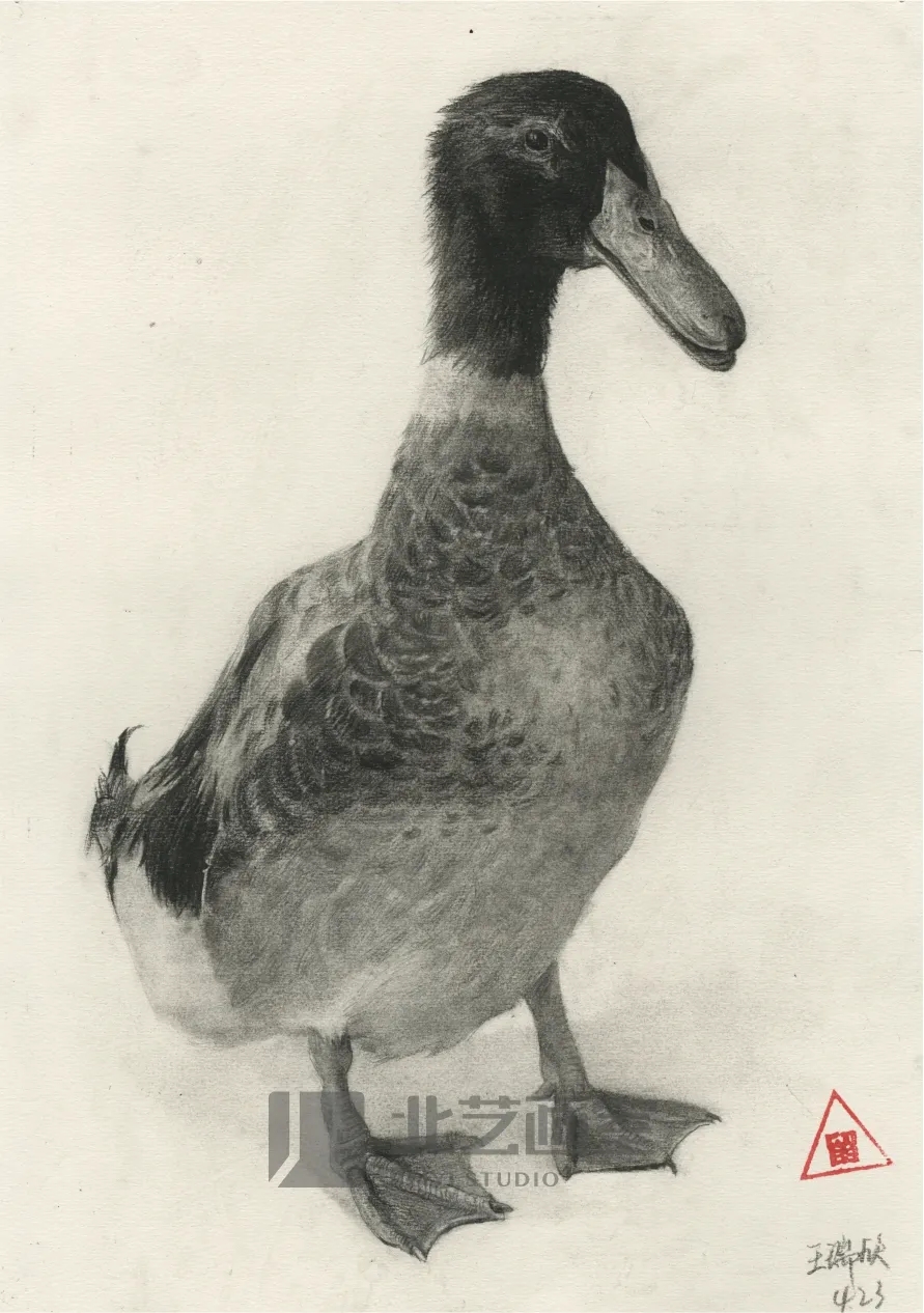 k8凯发(中国)天生赢家·一触即发基础部【春季班】第一期课堂成果