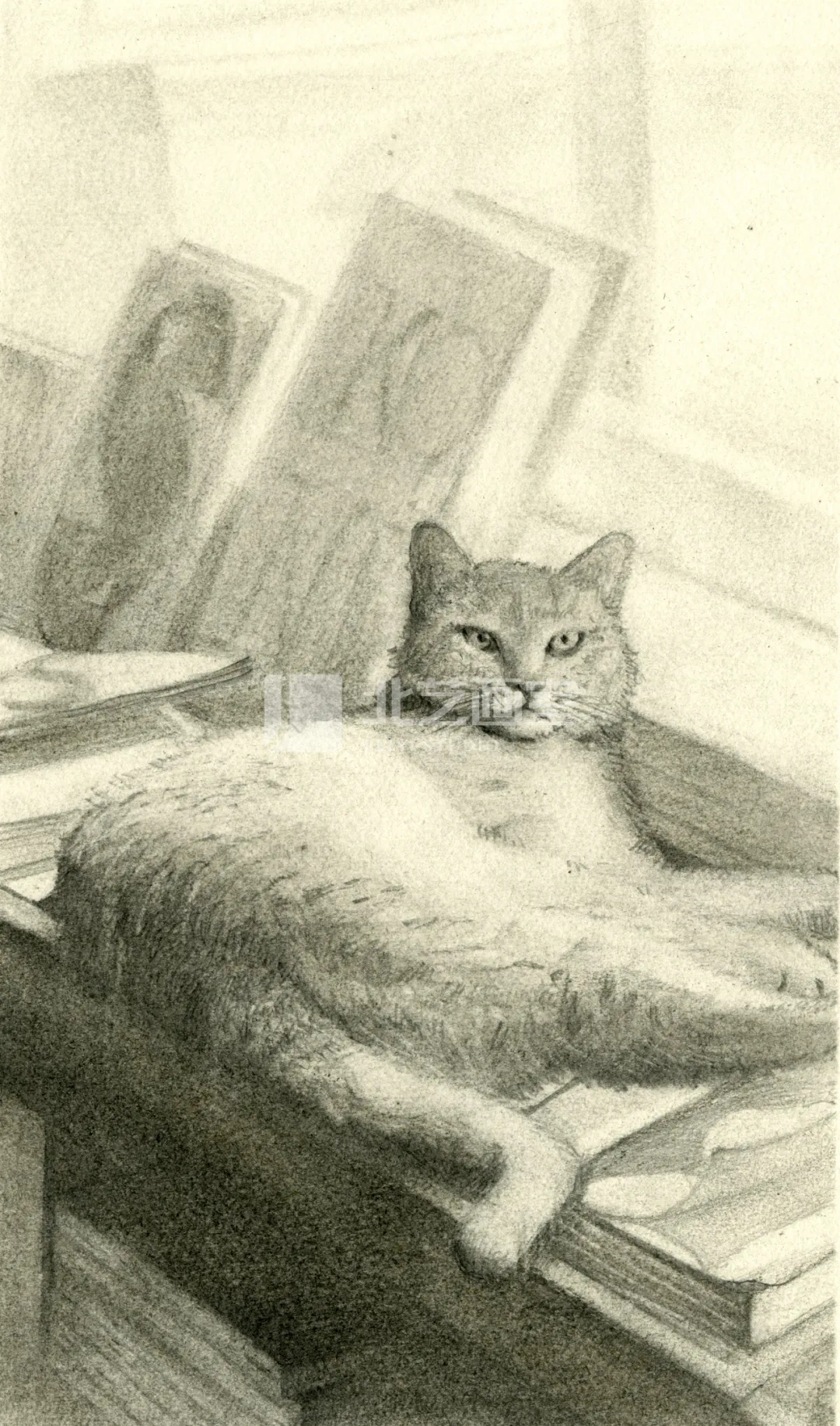 北艺基础部寒假班学员作品欣赏