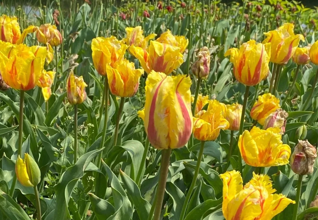 k8凯发(中国)天生赢家·一触即发2021教师团建