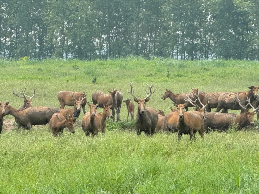 k8凯发(中国)天生赢家·一触即发2024年团建