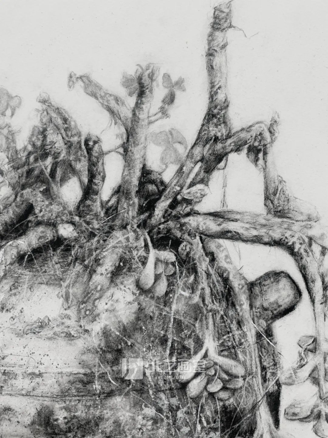 k8凯发(中国)天生赢家·一触即发最新素描作品