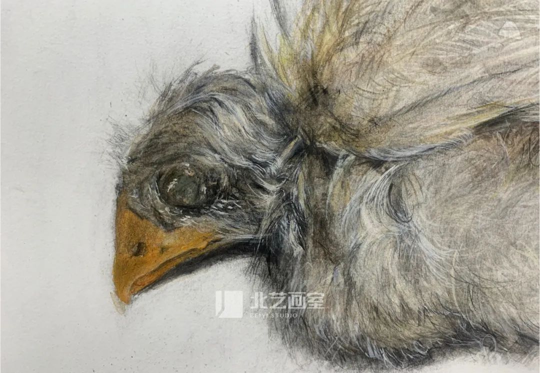 k8凯发(中国)天生赢家·一触即发最新素描作品