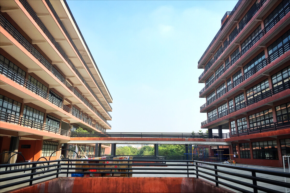 2023年广州美术学院本科招生1613人（？夹畔⒔舛粒