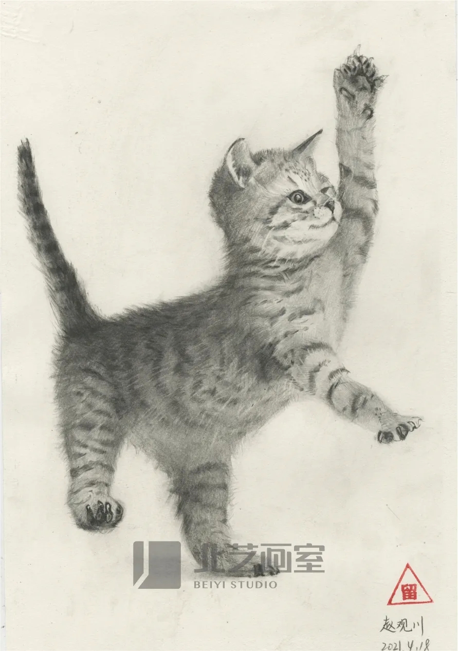 k8凯发(中国)天生赢家·一触即发基础部【春季班】第一期课堂成果