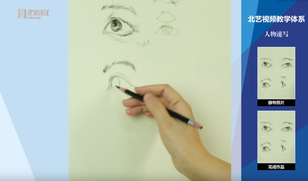 速写头部五官（眼睛、鼻子、嘴巴、耳朵）的讲解示范