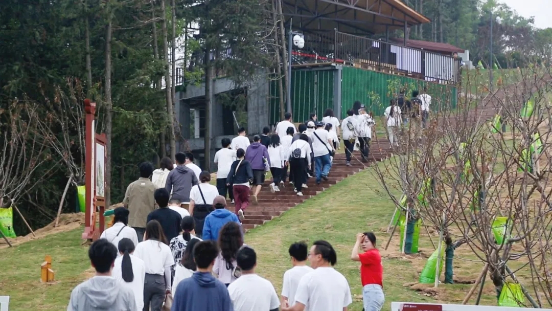 k8凯发(中国)天生赢家·一触即发2024年团建