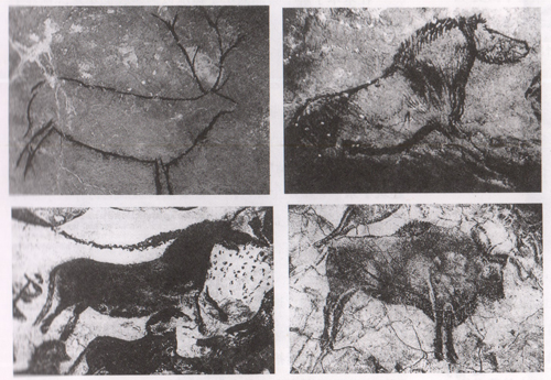画好头骨相关知识点