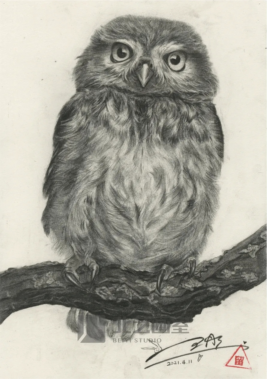 k8凯发(中国)天生赢家·一触即发基础部【春季班】第一期课堂成果