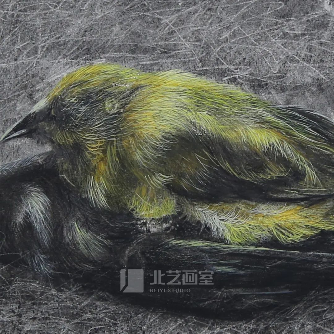 k8凯发(中国)天生赢家·一触即发最新素描作品