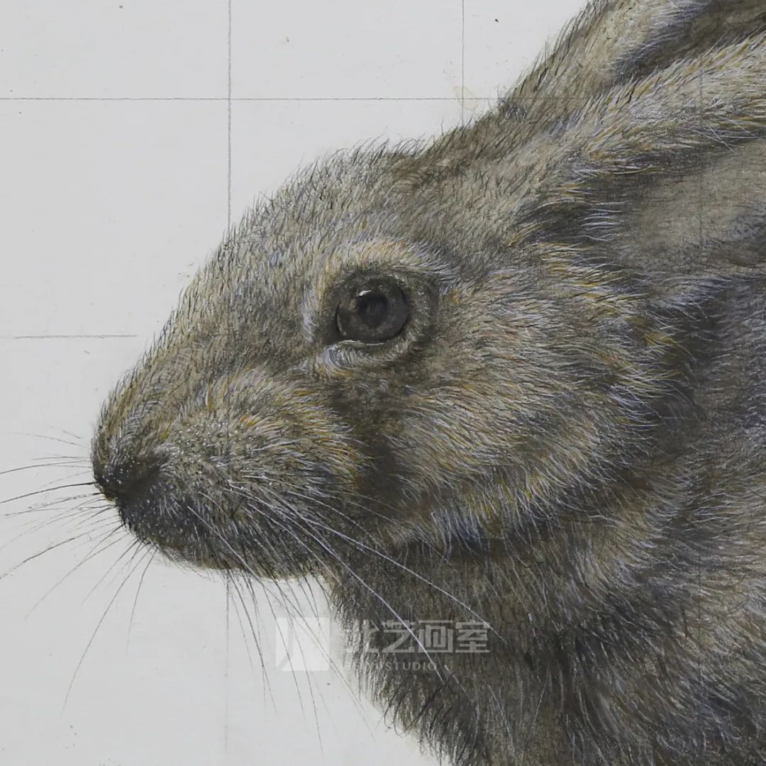 k8凯发(中国)天生赢家·一触即发最新素描作品