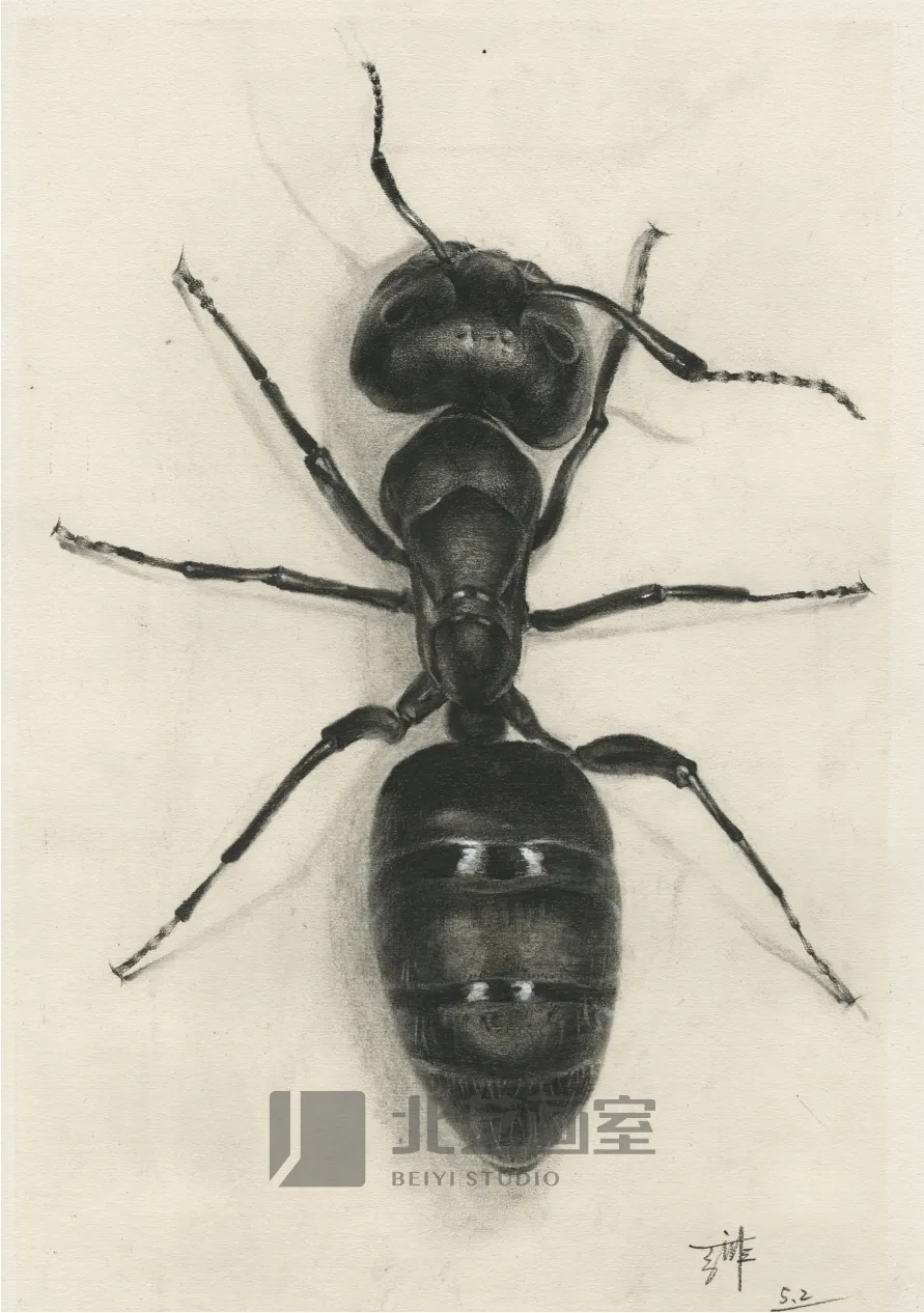 k8凯发(中国)天生赢家·一触即发基础部【春季班】第一期课堂成果