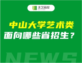 中山大学艺术类面向哪些省招生？有湖北吗